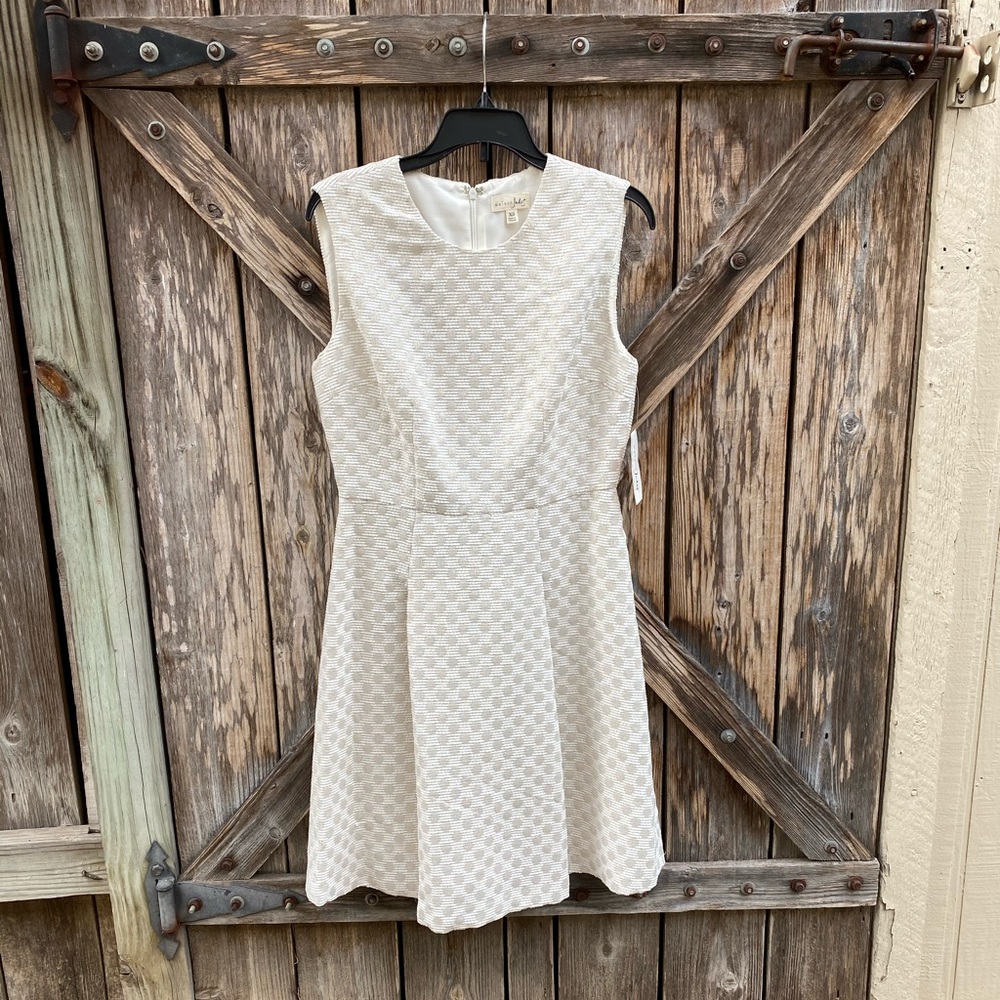 Maison Jules Metallic Fit & Flare Sleeveless Dress